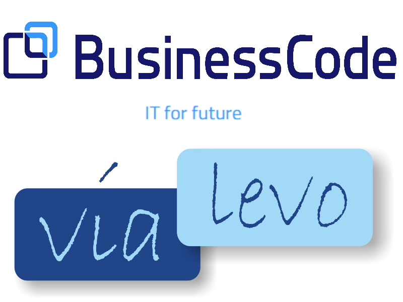 BusinessCode vialevo Logo